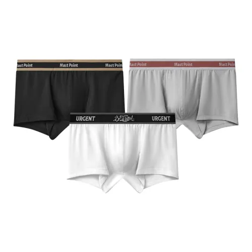 Mast Point Underpants Men's Box