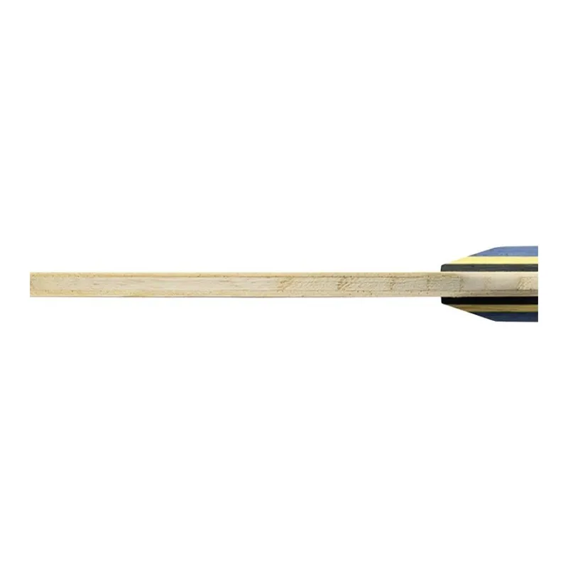 Butterfly Ping Pong Paddle Floor-4