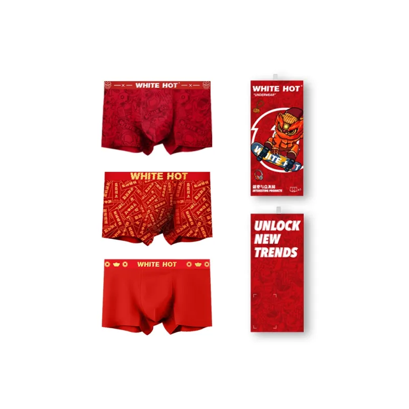 WHITE HOT Underpants Men's 214 Premium Box Recommendation-5
