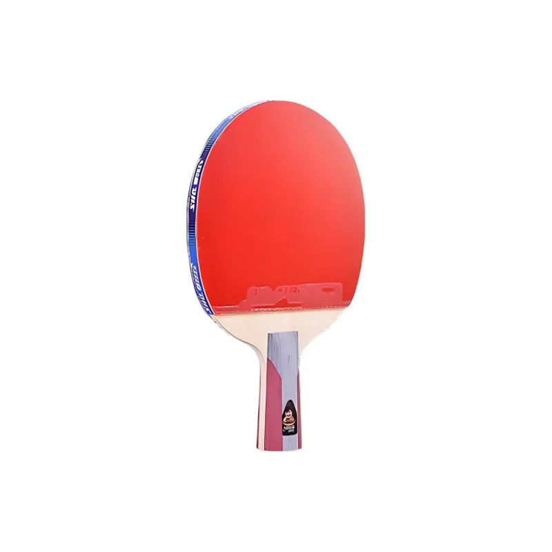 DHS Ping Pong Paddles-7
