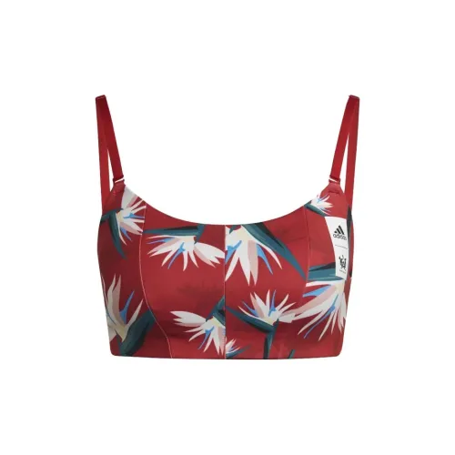 Adidas Women's Bras