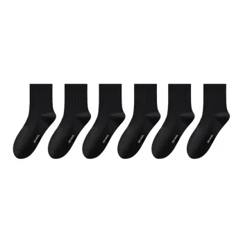 Master Mid Calf Socks Men's 6 Pack