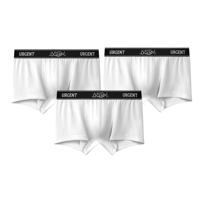 Mast Point Underpants Men's Box-0