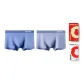 2 Pack (Blue+Teal)