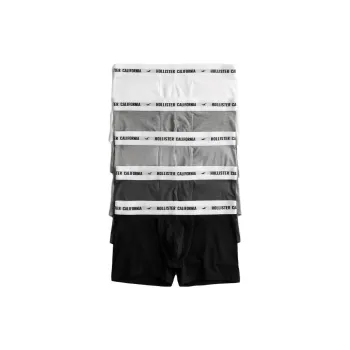 Hollister Men Underpants