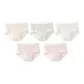 5 Pack (Nude Pink+Green+White+Lotus Root Powders+Lotus Root Powders)