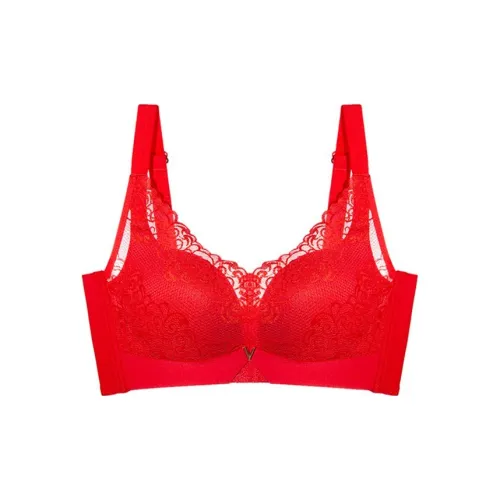 Lanza Women's Bras