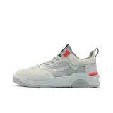 Gray/Silver