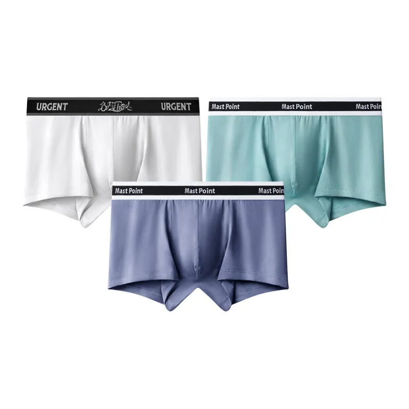 Mast Point Underpants Men's Box-34