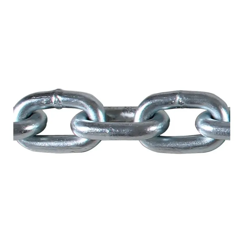 Ruisi Deep Squat With Weighted Iron Chain-4
