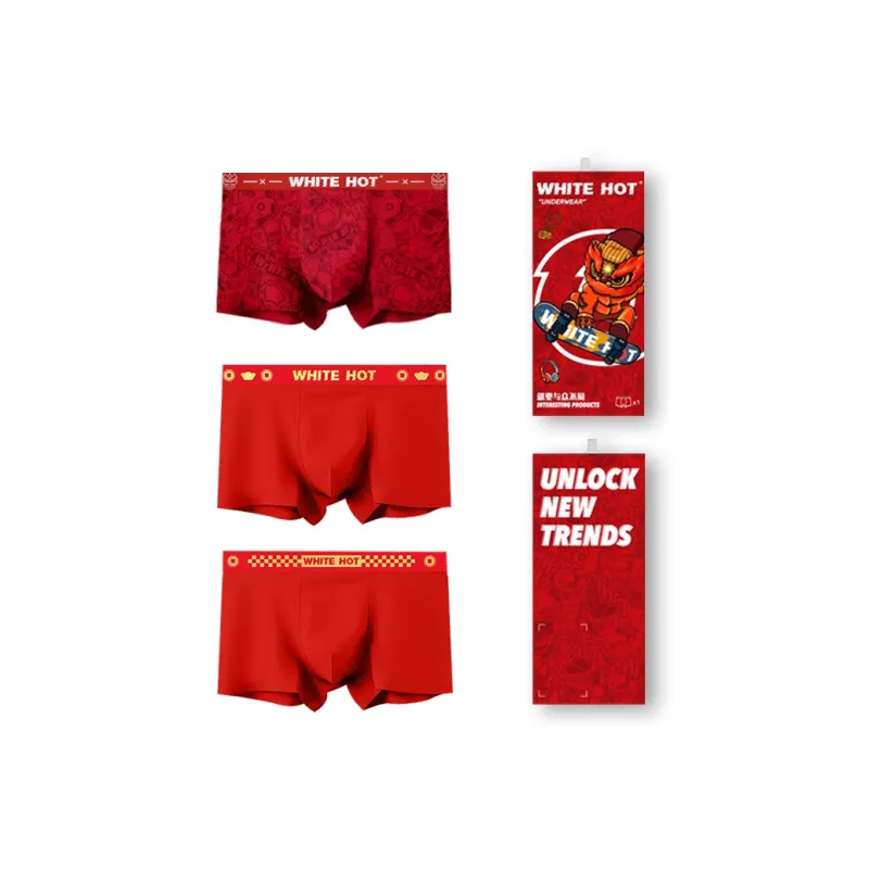 WHITE HOT Underpants Men's 214 Premium Box Recommendation-4