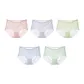 Grapefruit Pink+Purple+Mint Green+Azure Blue+Moss Green