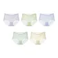Coral Purple+Mint Green+Azure Blue+Moss Green+Yellow