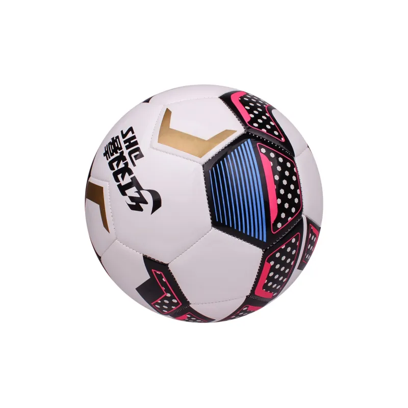 DHS Soccer-2