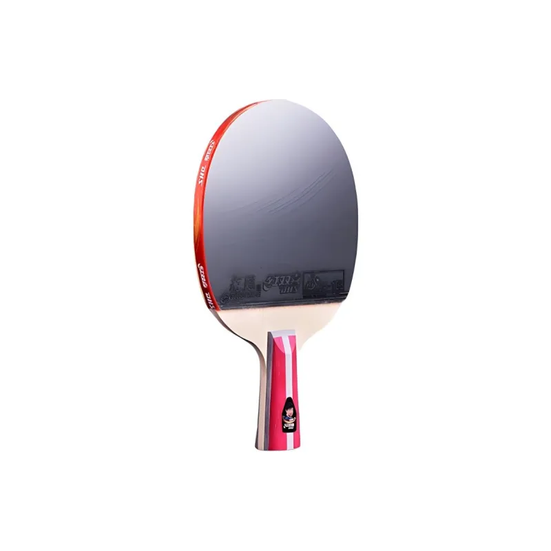 DHS Ping Pong Paddles-3
