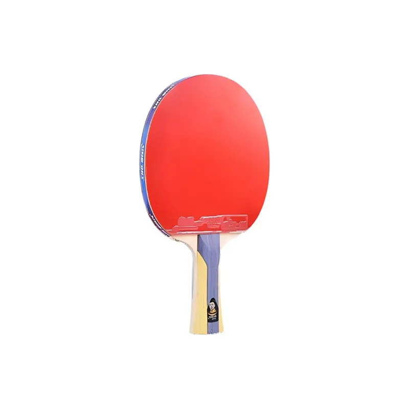 DHS Ping Pong Paddles-5