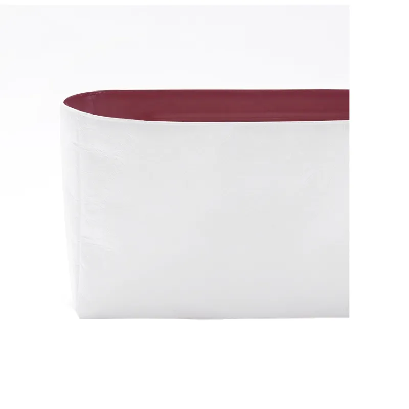 BagINBAG DuPont Paper Bag Accessory, Bag Modified Medium Size Women's Multicolor-5