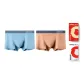 2 Pack (Ginger Yellow+Aqua Blue)