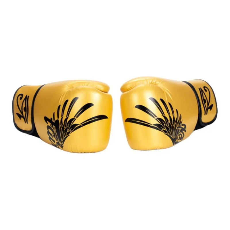 FAIRTEX Boxing Gloves-1
