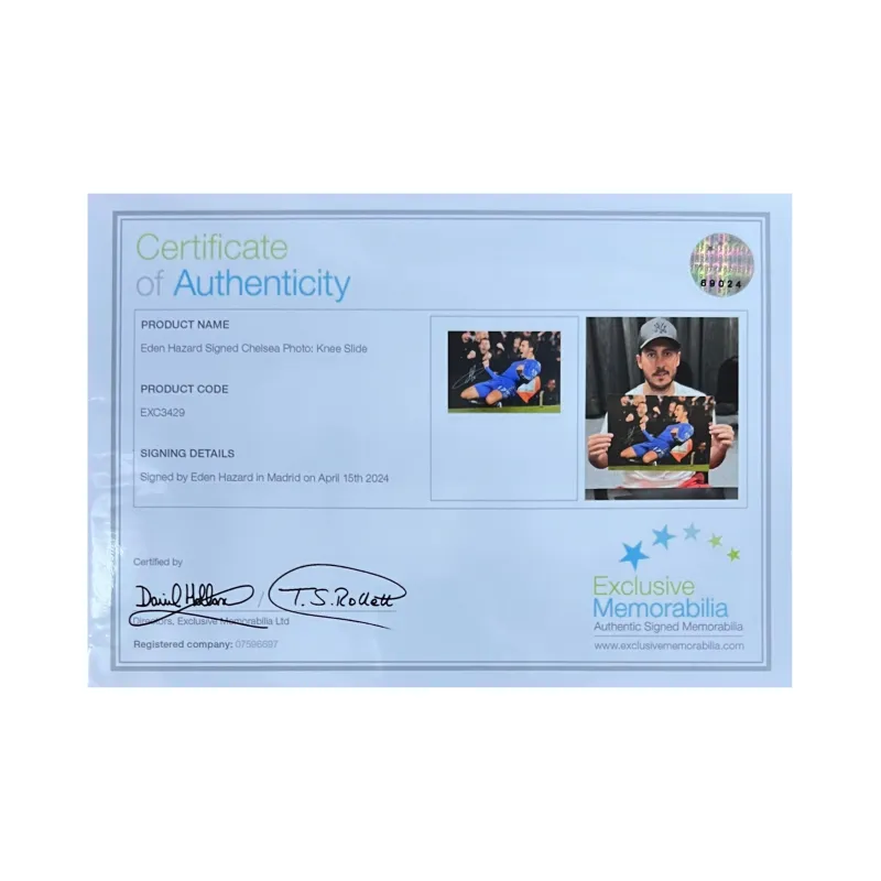 EM Azar Includes Certification Certificate, Outer Frame Size 38.6x48.6cm-2