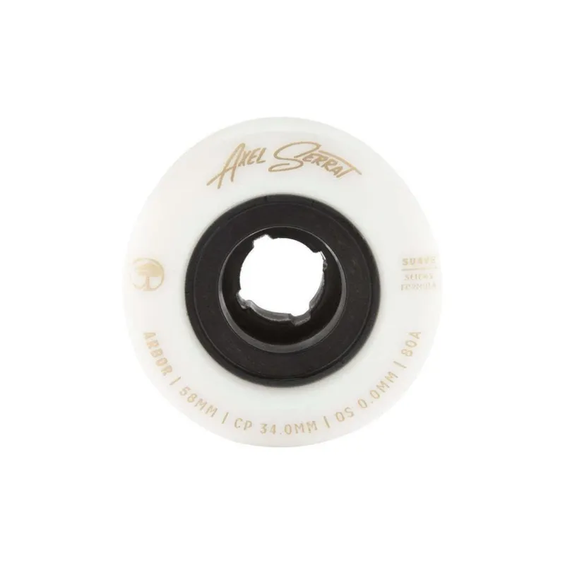 ARBOR Skateboard Wheels Double Kick Skateboard Longboard Land Surfboard-1