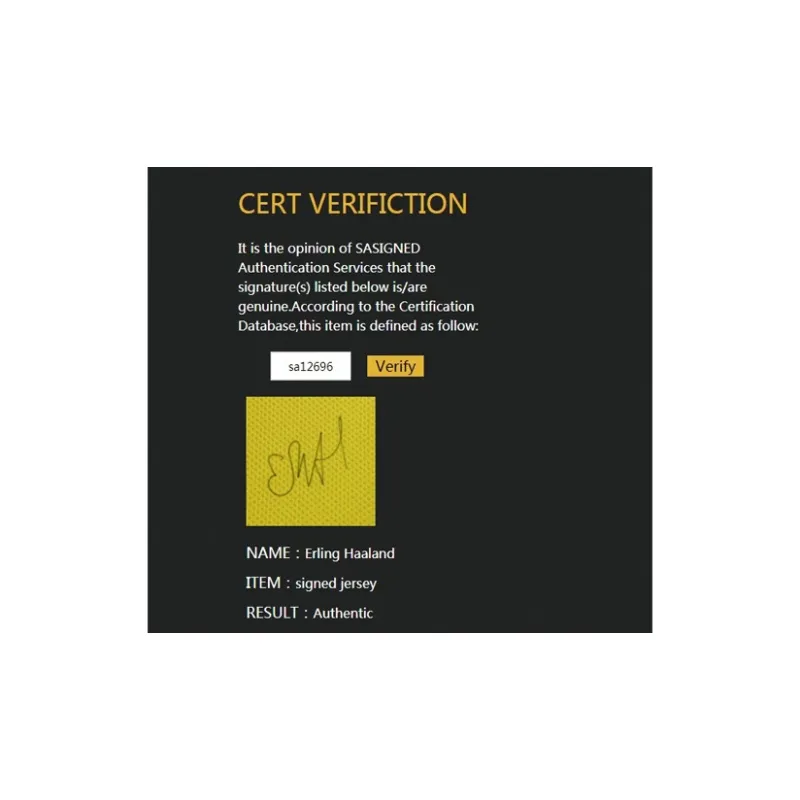 Three For 20-21 Borussia Dortmund Team Erling Haaland Signed Soccer Apparel Jersey With SA Certificate-5