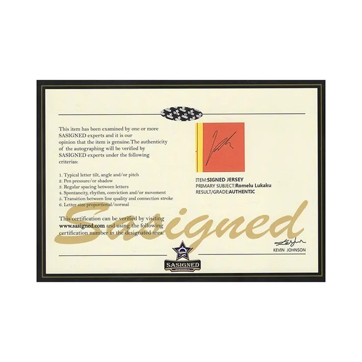 Three For Lukaku 2018 World Cup Belgium National Team, Autographed, Soccer Apparel Jersey, Includes Certificate Framed-2