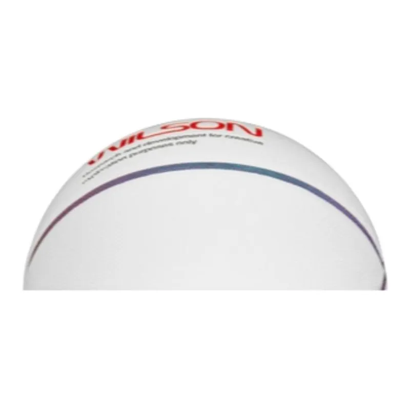 Wilson Basketball-1