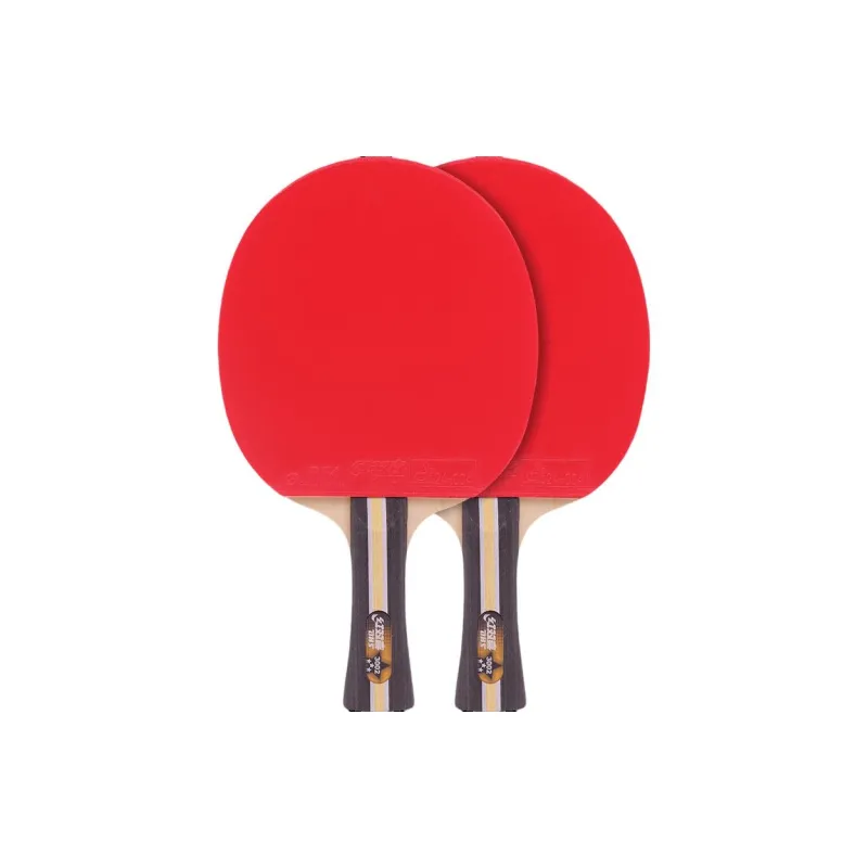 DHS Ping Pong Paddles-1