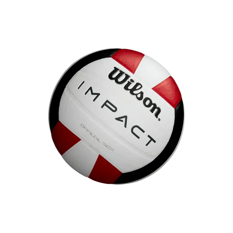 Wilson Volleyball-3