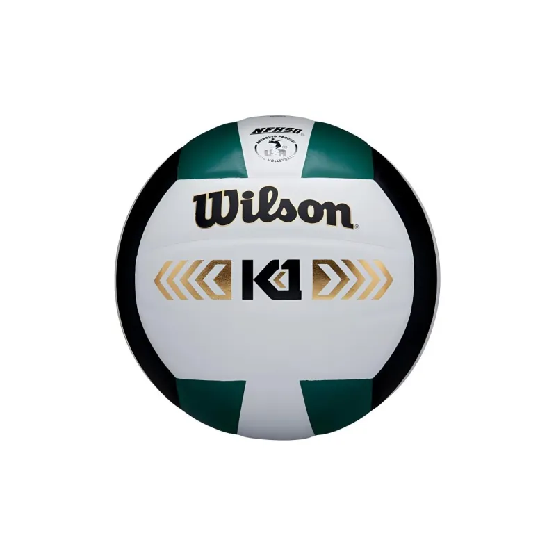 Wilson Volleyball-5
