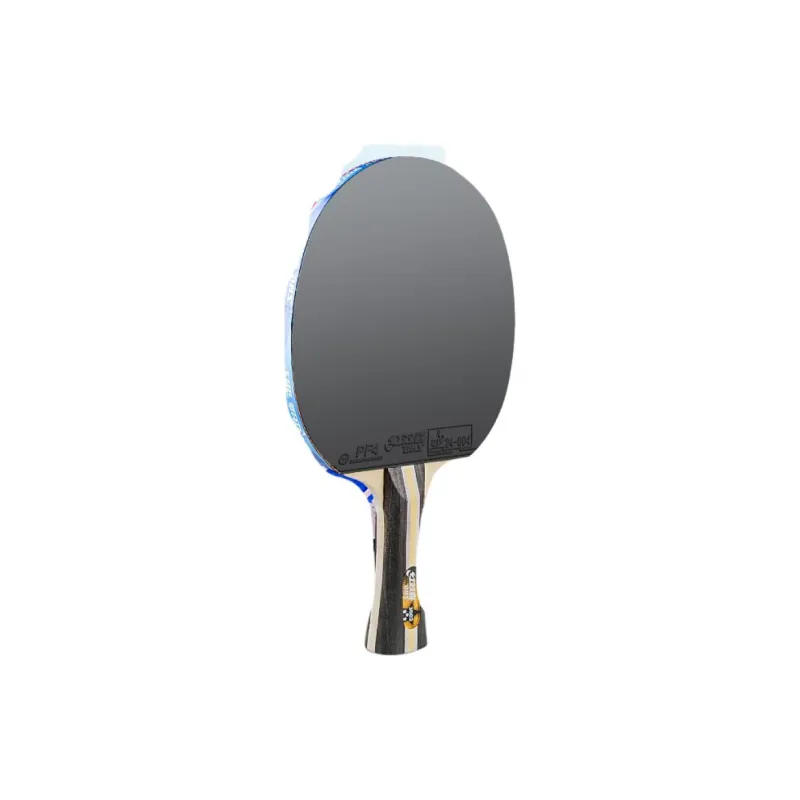 DHS Ping Pong Paddles-3