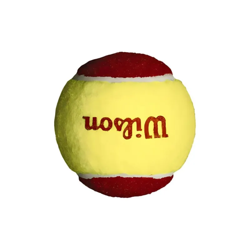 Wilson T137001 Tennis Balls Training Ball Indoor And Outdoor Yellow-2
