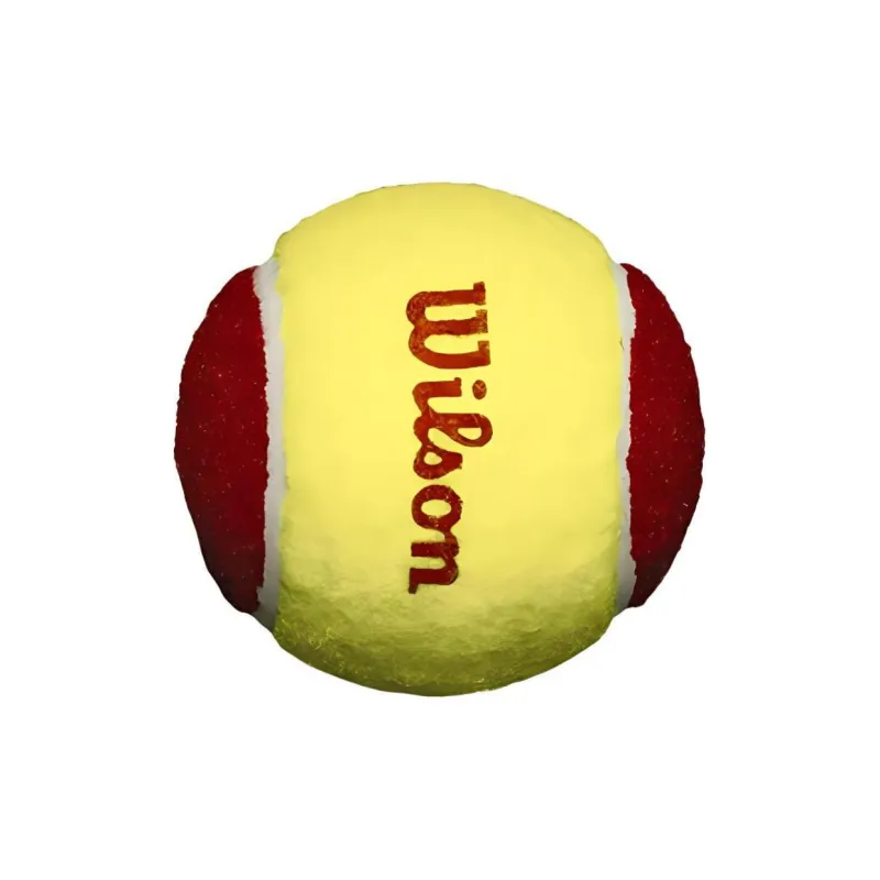 Wilson T137001 Tennis Balls Training Ball Indoor And Outdoor Yellow-3