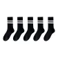 Black with Double Stripes 5