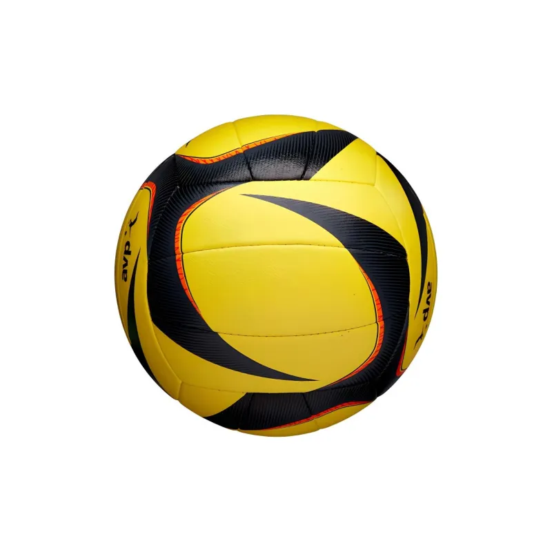 Wilson Volleyball-5