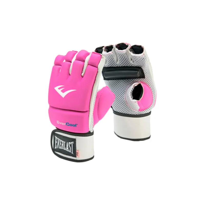 Everlast Boxing Gloves-2