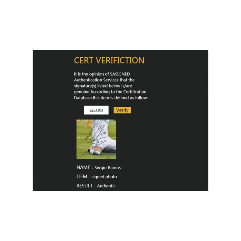 Three For Real Madrid Team Ramos Water God Signed Photo With SA Certificate Framed-5