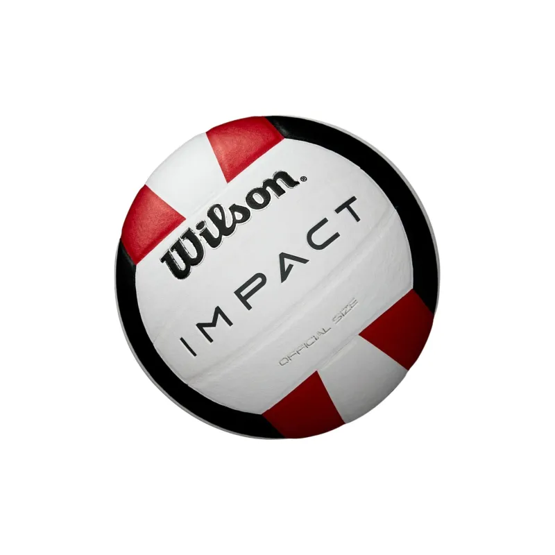 Wilson Volleyball-1