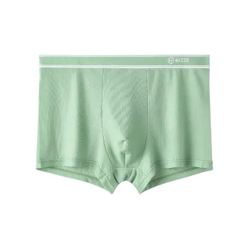ROBINHOOD Underpants Men's 1 Pack