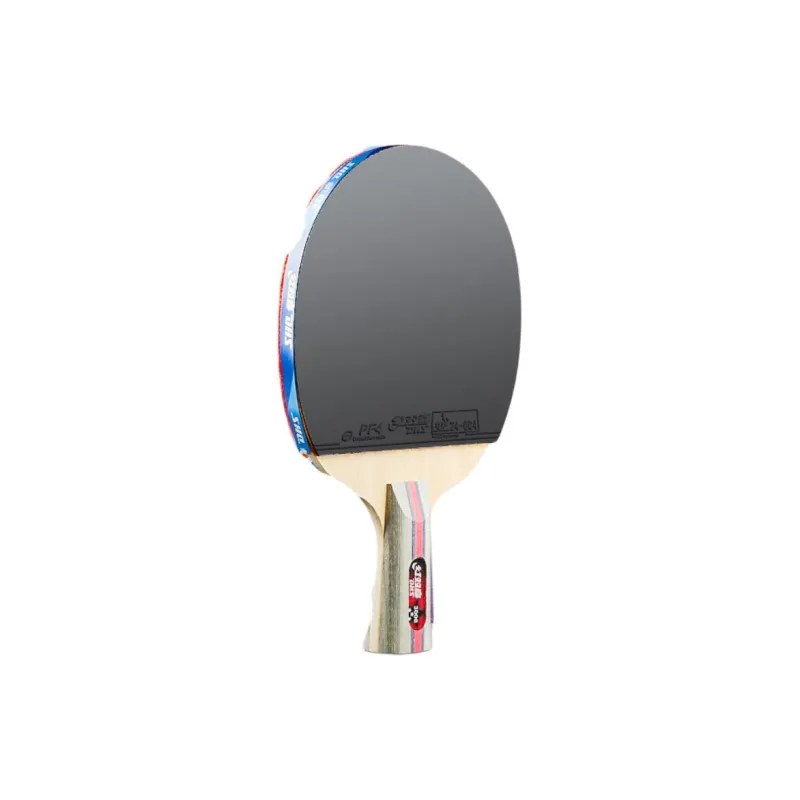 DHS Ping Pong Paddles-5