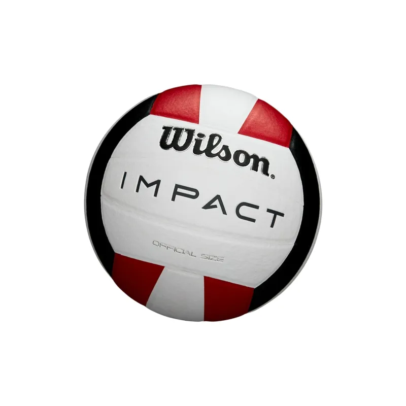 Wilson Volleyball-4