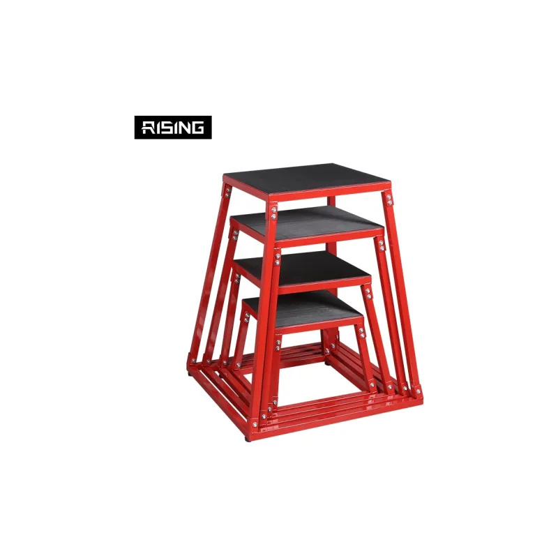Ruisi Fitness Equipment-1