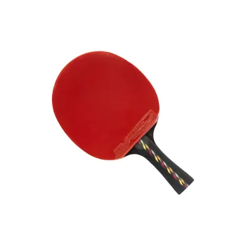 DHS R5002C Ping Pong Paddles Unisex All Wood With Carbon Fiber Black Red