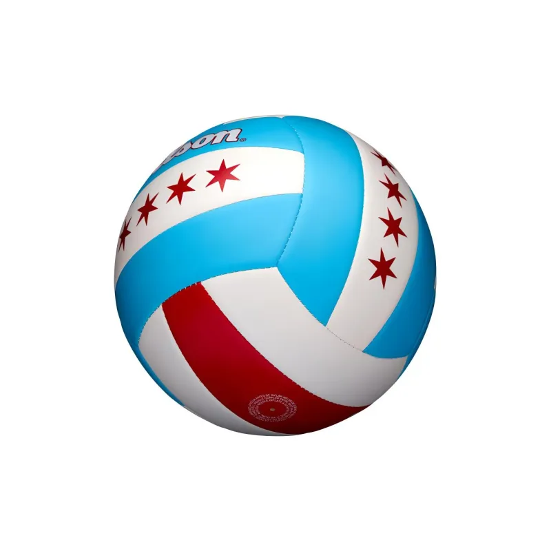 Wilson Volleyball-4