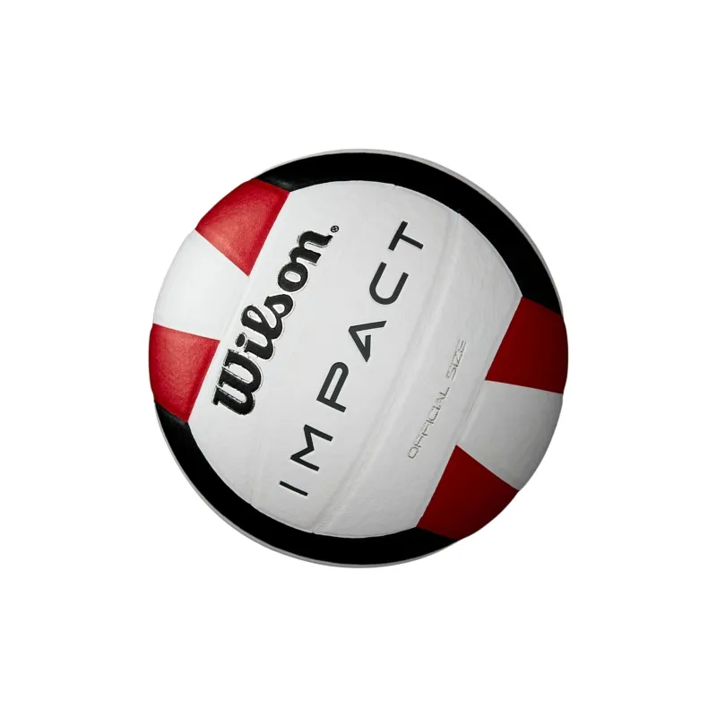 Wilson Volleyball-2