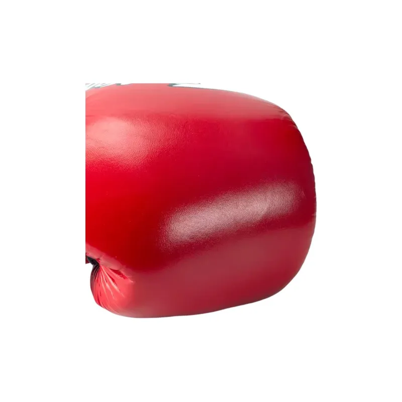 FAIRTEX Boxing Gloves-1