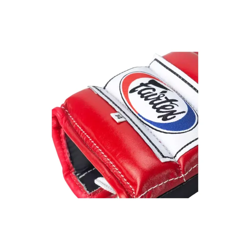 FAIRTEX Boxing Gloves-2
