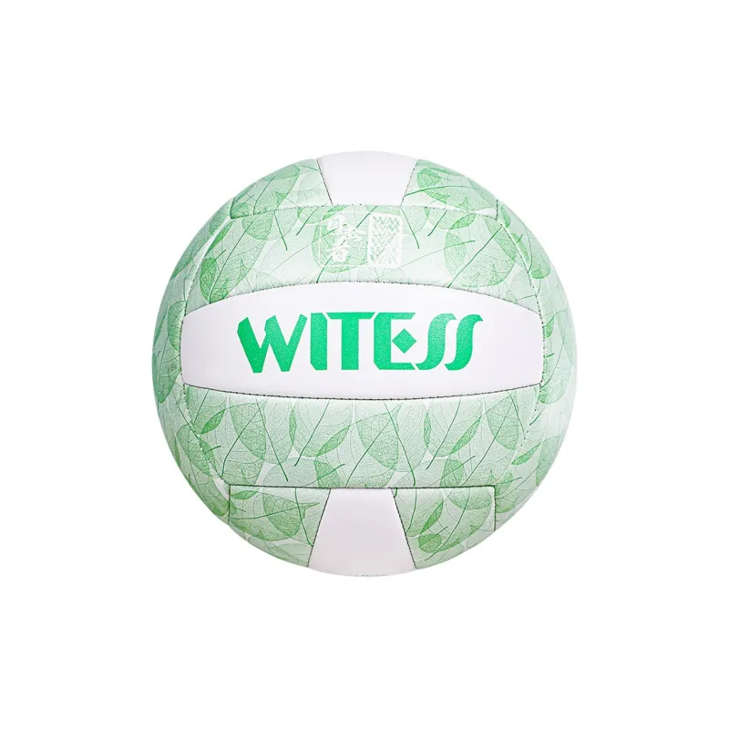 WITESS Volleyball-20