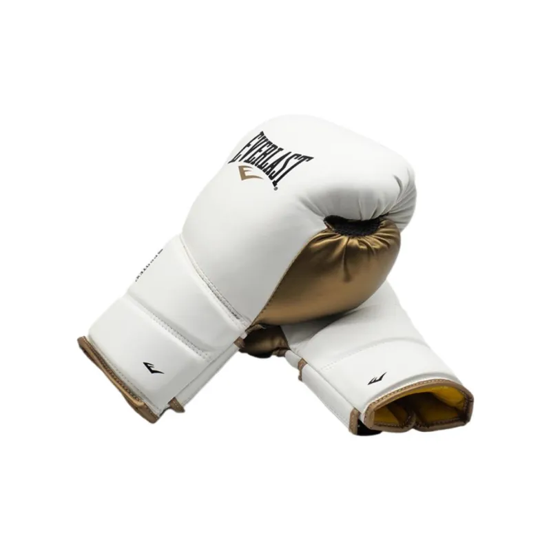 Everlast Boxing Gloves-2